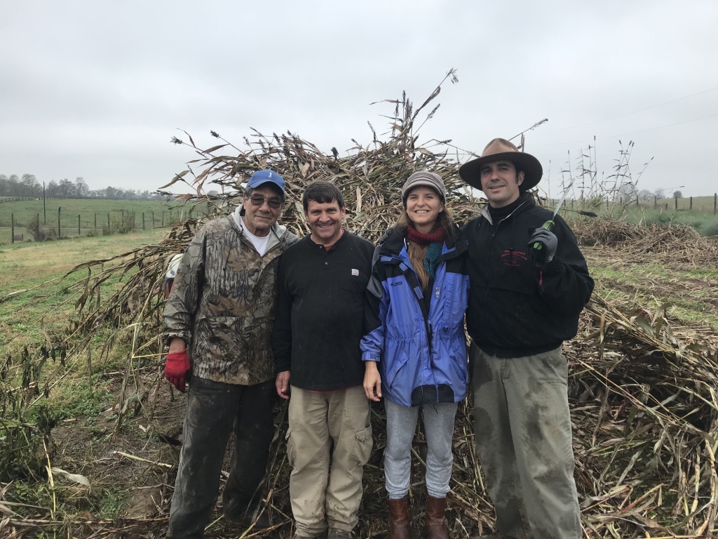 Three men and a women stand in front of a pile of sorghum cane, dressed in winter clothing. 